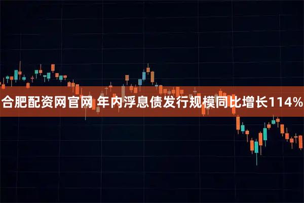 合肥配资网官网 年内浮息债发行规模同比增长114%